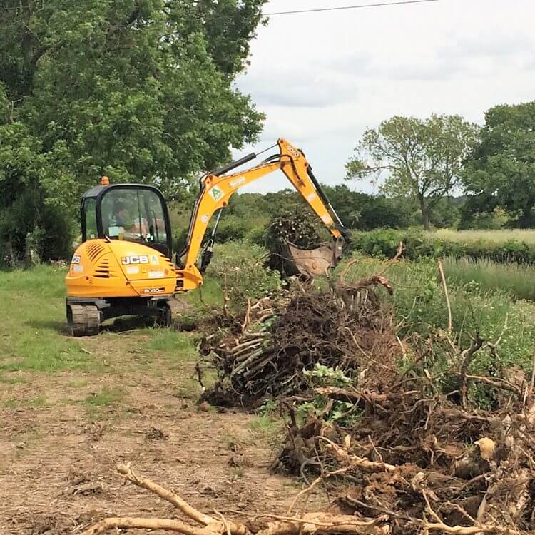 Site Clearance